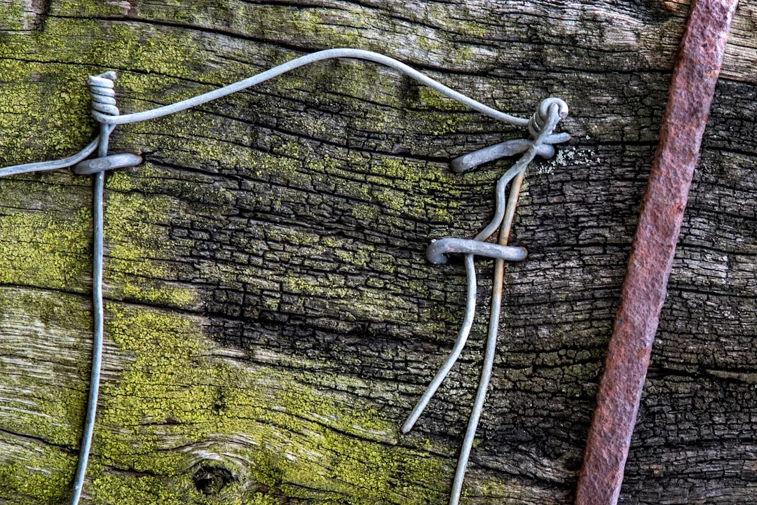 Title: “Stay Safe at Heights: A Comprehensive Guide to Lanyards and Anchor Points