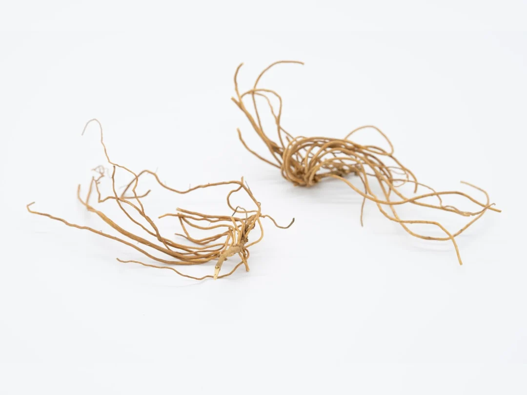 Title: The Ultimate Guide to Hairnets: Why They Matter, How to Choose the Right One, and Tips for Proper Use