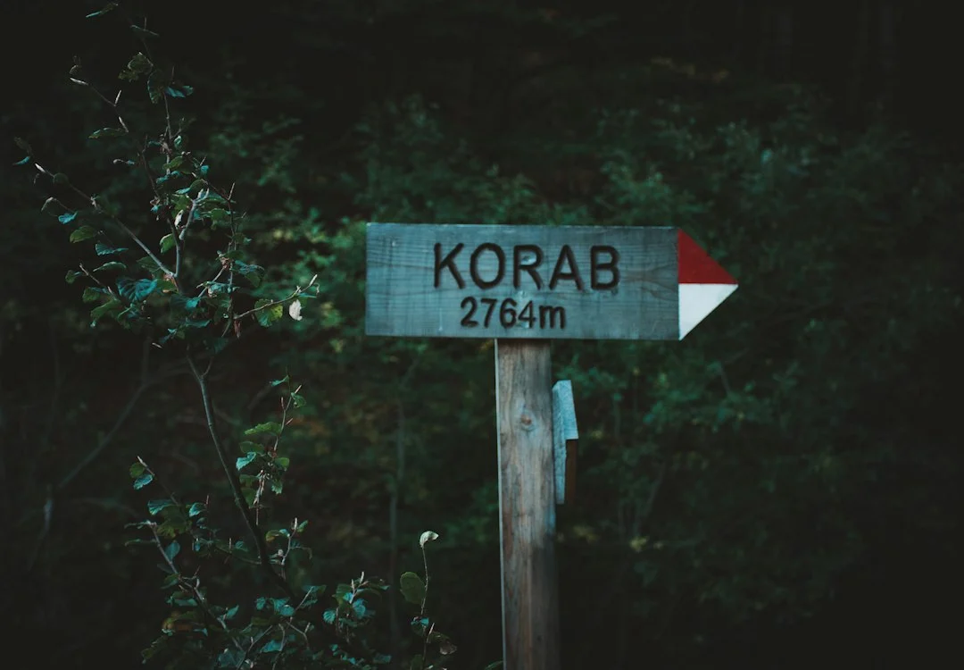 Title: Embracing Karam: How the Timeless Value of Generosity Can Transform Your Life Today